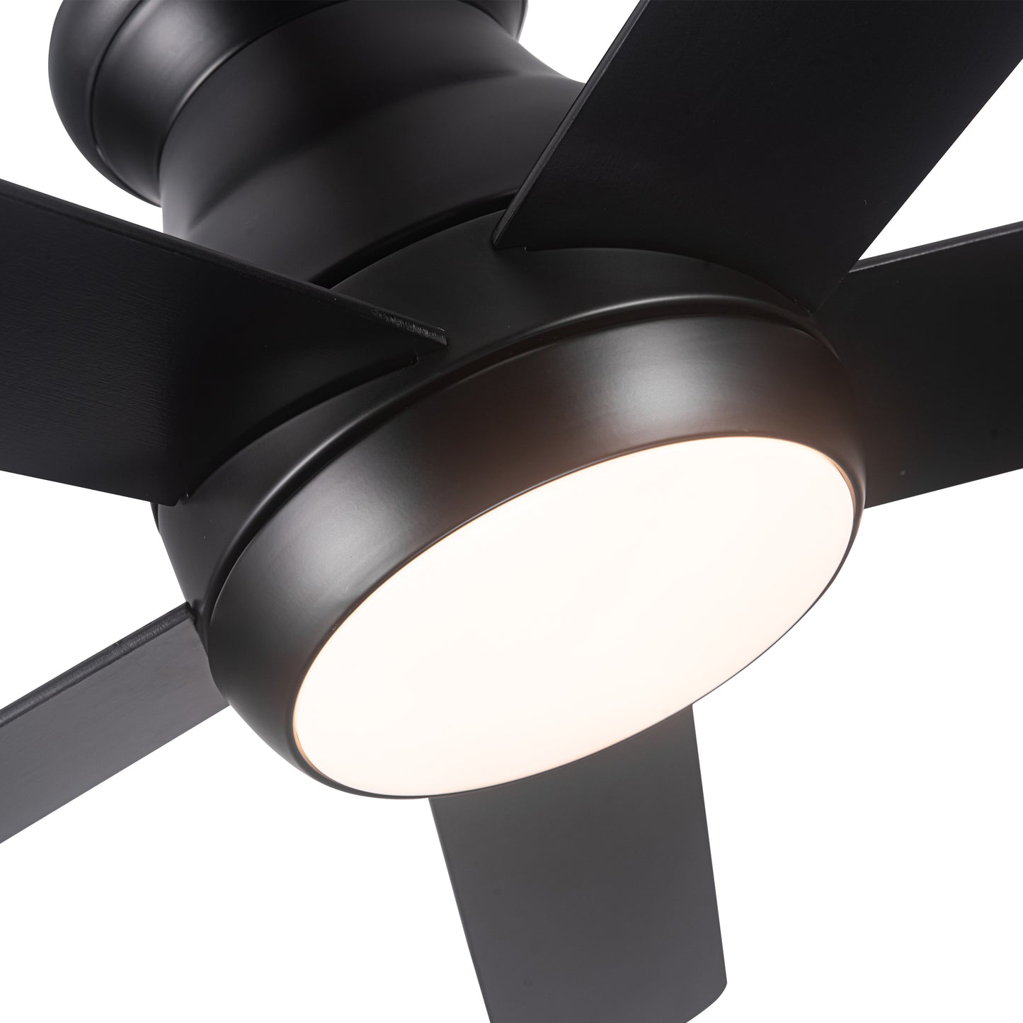 Low profile ceiling fan with light
