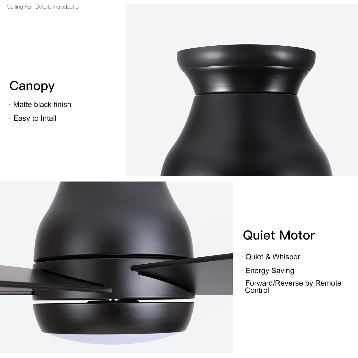 Low profile ceiling fan with light