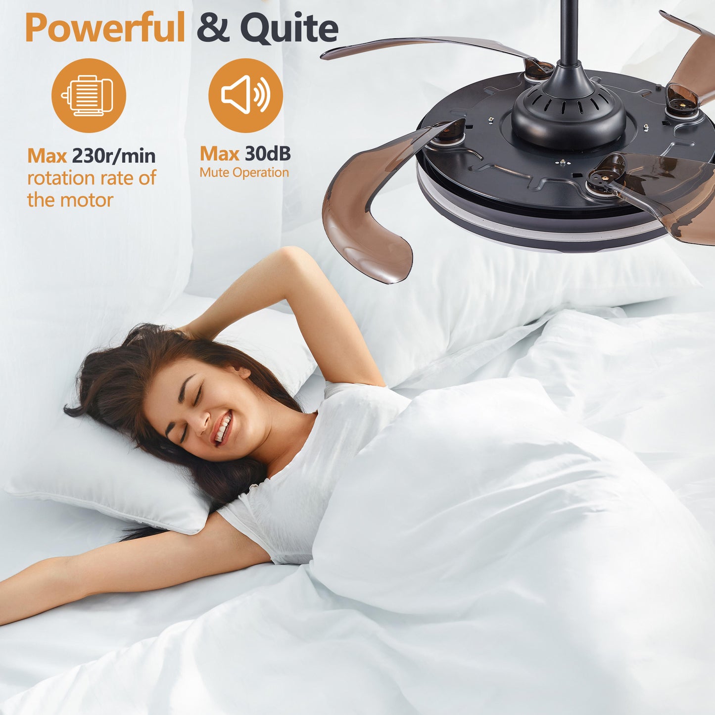 Retractable Fan with LED Fixtures