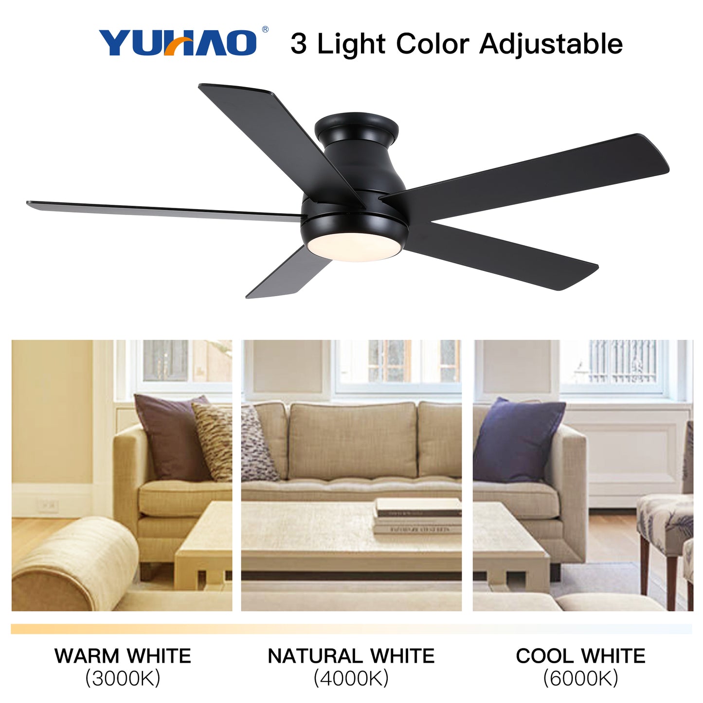 Low profile ceiling fan with light