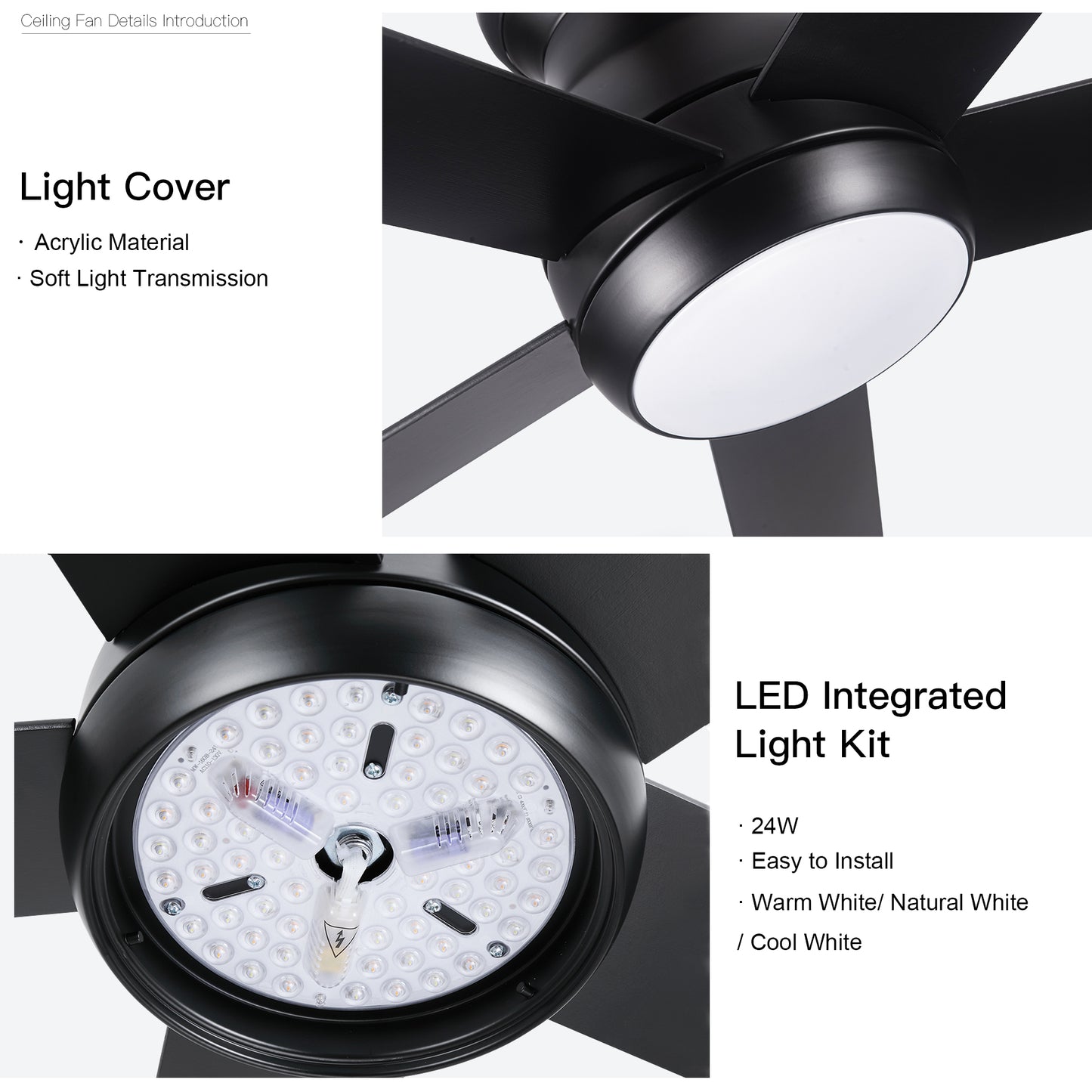 Low profile ceiling fan with light
