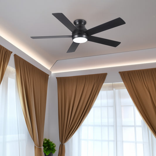 Low profile ceiling fan with light