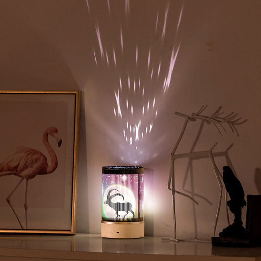 Rotation Cartoon Night Light