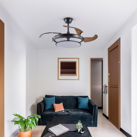Retractable Fan with LED Fixtures