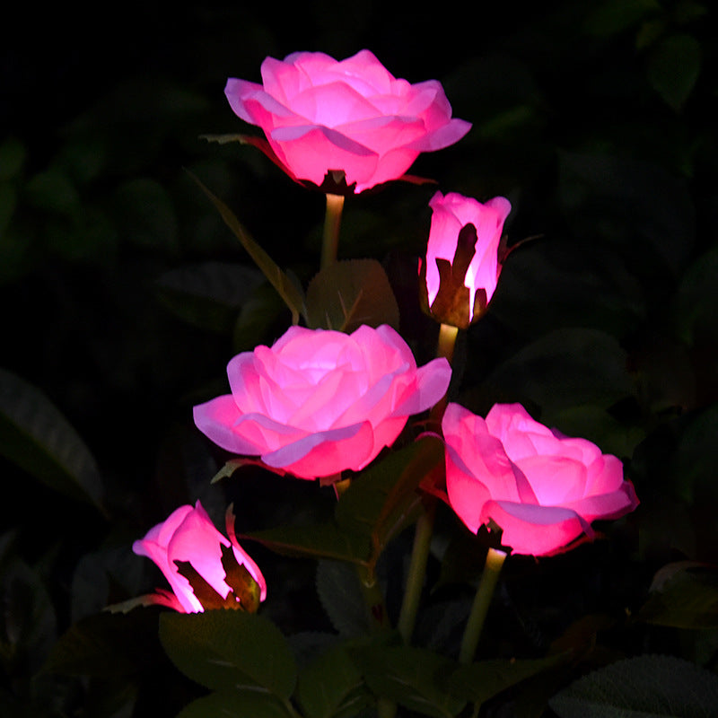 Solar Rose Lamp